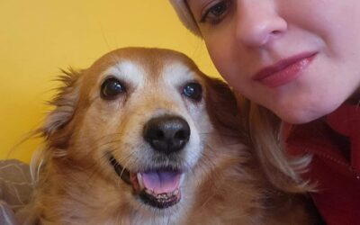 Zbieramy karmę dla schroniska